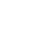 Dolphin SAFE